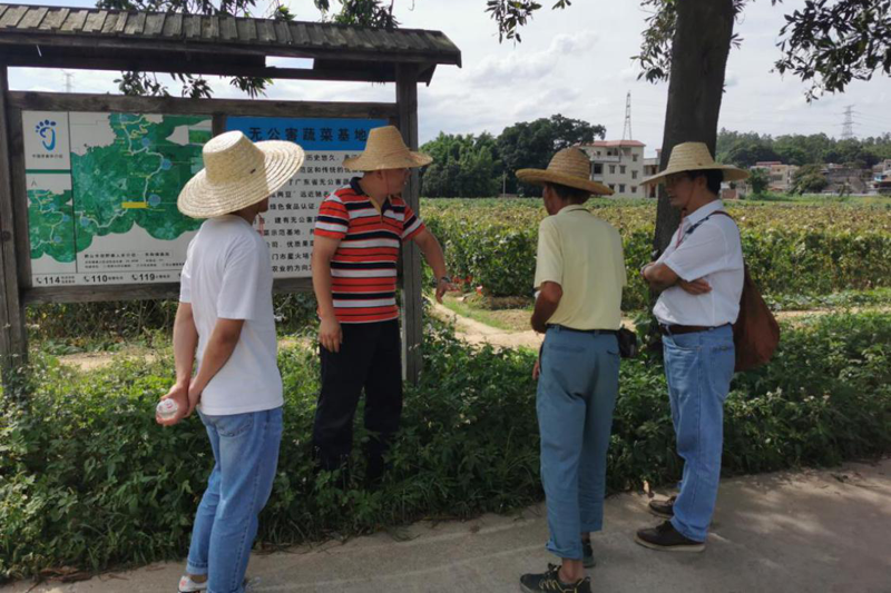 图一 共和镇大凹村调研现场.png